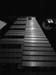 xylaphone